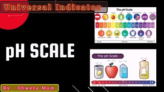 Indicator  PH Scale  Universal Indicator Diluting Indicator chemistry class10sciencechemical [upl. by Sedruol242]