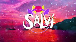 Salvi x Mon Dj  Silence Official Audio [upl. by Akenihs]