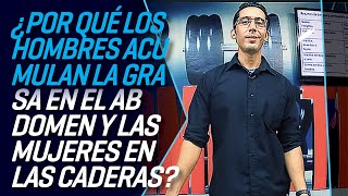 ¿POR QUE LOS HOMBRES ACUMULAN LA GRASA EN EL ABDOMEN Y LAS MUJERES EN LAS CADERAS [upl. by Brandise]