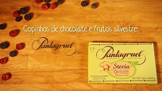 Receita Pantagruel  Copinhos de Chocolate e Frutos Silvestres [upl. by Neehs]