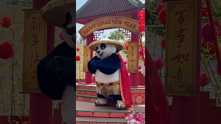 Po and Tigress from DreamWorks’ Kung Fu Panda  UNIVERSAL STUDIOS SINGAPORE Singapore [upl. by Harrie]