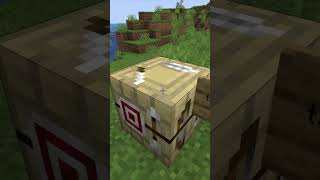 The fletching table in minecraft is secretly a crafting table [upl. by Alysia]