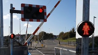 New Pedestrian Lights at Newhaven Town Level Crossing East Sussex [upl. by Htnnek933]