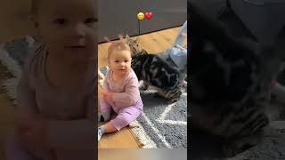 funny stories about babies and cats ❤️😍👶🏻🐈 [upl. by Rusell]