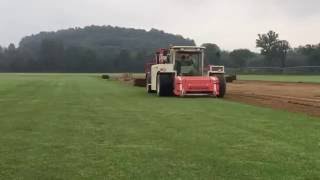 Tall Fescue Harvest Time Lapse [upl. by Cloutman250]