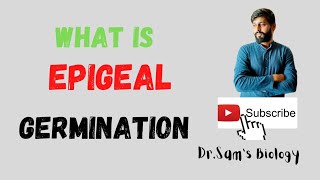 What is Epigeal Germination [upl. by Anya]