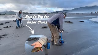 How To Dig for Huge Razor Clams  Seaside Oregon [upl. by Oelak]