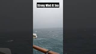 Very Strong Wind at Sea shorts [upl. by Waynant]