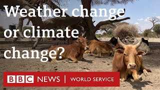 When does weather change become climate change  BBC World Service [upl. by Akirdnas]