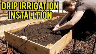 Upgrade Your Urban Homestead with Drip Irrigation System [upl. by Shelli226]