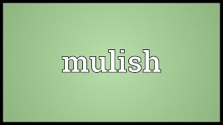 Mulish Meaning [upl. by Dorehs592]