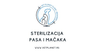 Veterinar Vet Planet Clinice Spec Dr Vet Vladan Ranković opisuje sterilizaciju pasa i mačaka [upl. by Nwatna]