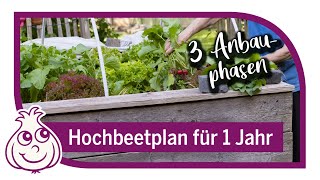 Hochbeet bepflanzen und das ganze Jahr ernten Teil1 13 [upl. by Anilas909]