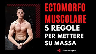 Ectomorfo Muscolare 5 regole fondamentali per mettere su massa muscolare [upl. by Sumerlin286]