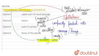 Schneiderian membrane is present at [upl. by Henden]