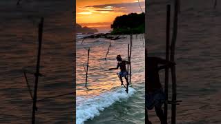 Stunning Slow Motion Sunset Views of Stilt Fishermen in Sri Lanka India Golden Hour Scenic Beauty [upl. by Julide]