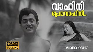 Vaahini Premavaahini Video Song  Achante Bharya  K J Yesudas  S Janaki  Old Malayalam Songs [upl. by Zurek39]