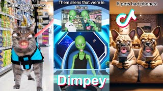 NEW  Dimpey6 Shorts Compilation 2024  Funny Dimpey TikToks Video [upl. by Sykes562]