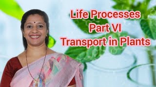 Class10Biology Part6  Transport in plants [upl. by Ahseele]