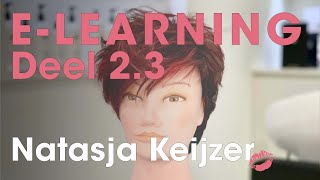 ELearning Deel 23 Pixie haircut  Triangle Highlights by Natasja Keijzer [upl. by Gagliano]