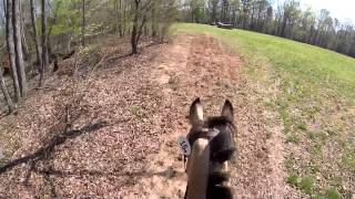 Katharine Knauz amp Poppyfields Tristan  Preliminary XC  FENCE Horse Trials 2014 [upl. by Hawkie756]