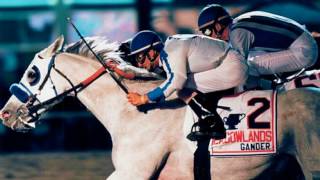 A look at the career of Hall of Fame Jockey John Velazquez  Horse Lovers [upl. by Ahsan]