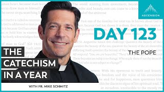 Day 123 The Pope — The Catechism in a Year with Fr Mike Schmitz [upl. by Anaes]