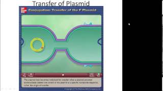 Prokaryotic Genetics Part 4 Transposons Plasmids and Conjugation [upl. by Tirzah]