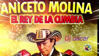 mix aniceto molina Dj oscar 503 [upl. by Connie851]