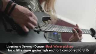 Seymour Duncan Black Winter pickups [upl. by Oremor]