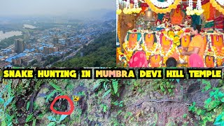 Snake Hunting In Mumbra Devi Hill Temple [upl. by Aielam]