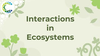 Interactions in Ecosystems [upl. by Zelazny]