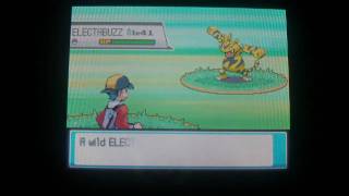 How to Catch Electabuzz  Pokemon Heart Gold and Soul Silver [upl. by Ramo]