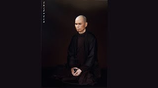 Sitting with the Buddha  Guided Meditation by Thich Nhat Hanh [upl. by Neret]