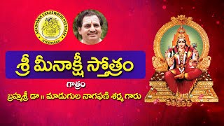 శ్రీ మీనాక్షీ స్తోత్రం  Sri Meenakshi Stotram by Madugula Naga Phani Sarma [upl. by Alyahc]