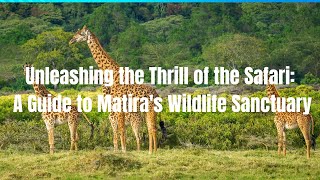 Unleashing the Thrill of Matiras Safari A Guide to Matira’s Wildlife Sanctuary [upl. by Amles]