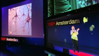 TEDxAmsterdam 2011  Eveline Crone [upl. by Stanway738]