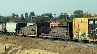 Idaho falls yard with a mixed consist [upl. by Atiluj]