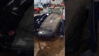 Washing Abandoned Corvette Stingray 🚘💕 DetailDane BarnFind Satisfying Detailing AbandonedCars [upl. by Traweek927]