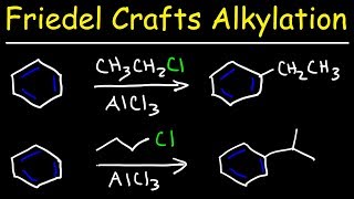 Friedel Crafts Alkylation of Benzene Reaction Mechanism  Tons of Examples [upl. by Beckman319]