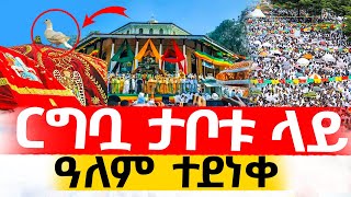 ርግብ በታቦቱ ላይ👉👉ዓለም ተደነቀ‼️👉ርግቦቹ በየካ ሚካኤል ታቦት ላይ [upl. by Ree]