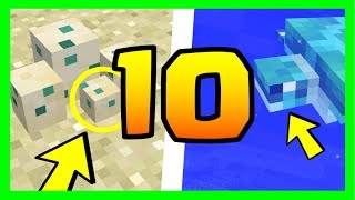 LE SAVIEZ VOUS  10 SECRETS SUR LES TORTUES MINECRAFT [upl. by Marozas]