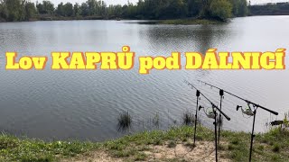 Lov KAPRŮ pod DÁLNICÍBoilies vs Halibut [upl. by Ateuqirne]