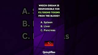 🧠 Quickfire Body Quiz How Well Do You Know Your Organs humanbody anatomy quiztime [upl. by Everard240]