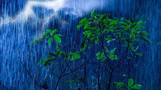 ⚡4K Intense Thunderstorm Rain to Fall Asleep Fast  Torrential Rain amp Very Powerful Thunder at Night [upl. by Alejo]