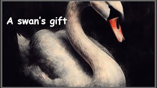 A swans gift [upl. by Feigin]