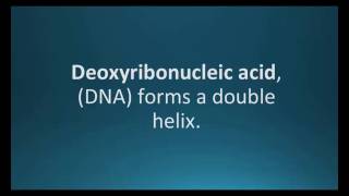 How to pronounce deoxyribonucleic acid DNA Pharmcabulary for Memorizing Pharmacology Flashcard [upl. by Natanoy323]