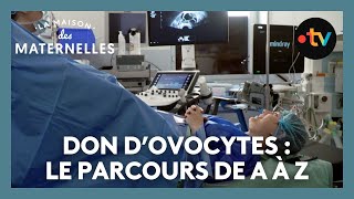 Don dovocytes  le parcours de A à Z – La maison des Maternelles LMDM [upl. by Pollack]