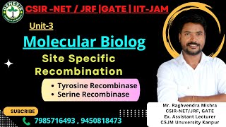 Site Specific Recombination  Tyrosine amp Serine Recombinase  L13  Molecular Biology  Unit3 [upl. by Phia]