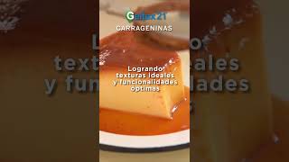 GELTEX  Carrageninas Refinadas y Semirrefinadas [upl. by Thirzi]